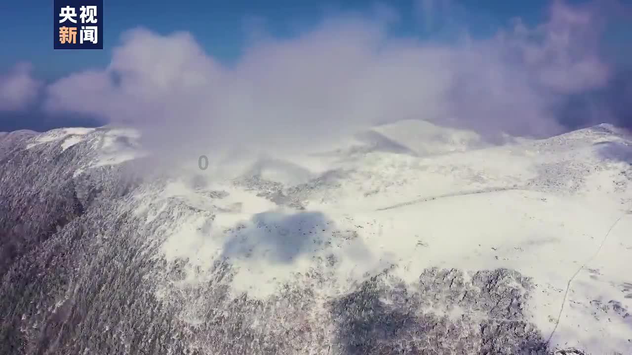 表哥称呼表弟的老婆可以叫表嫂吗？游戏画面